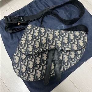 디올 오블리크 새들 미니백