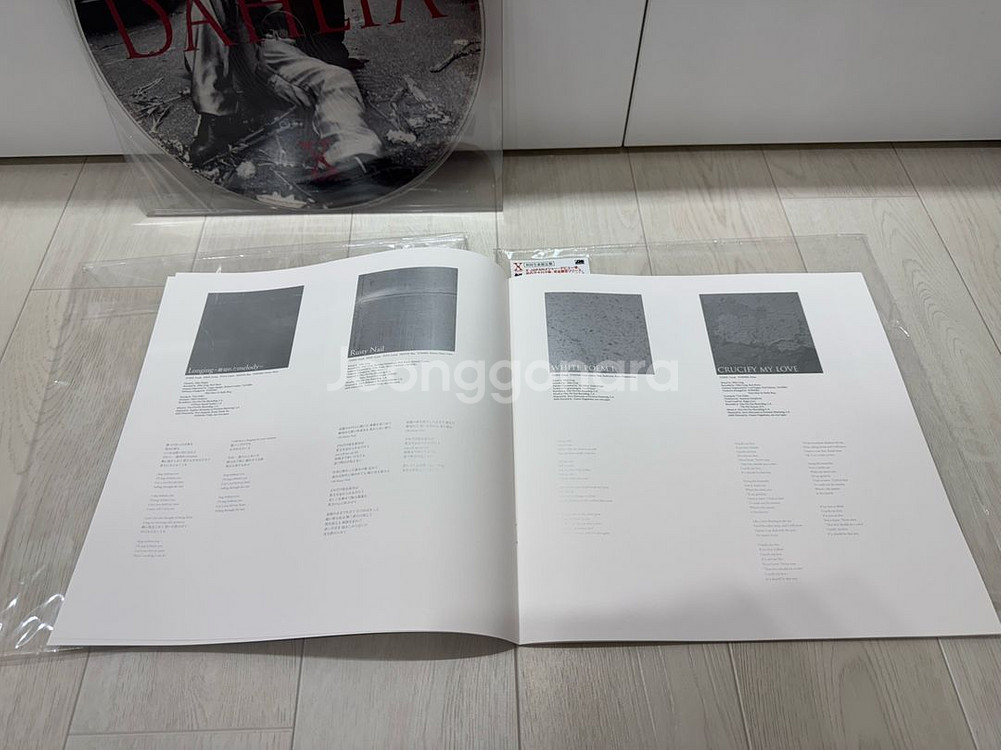 x japan dahlia LP 초판 Pic Disc--4
