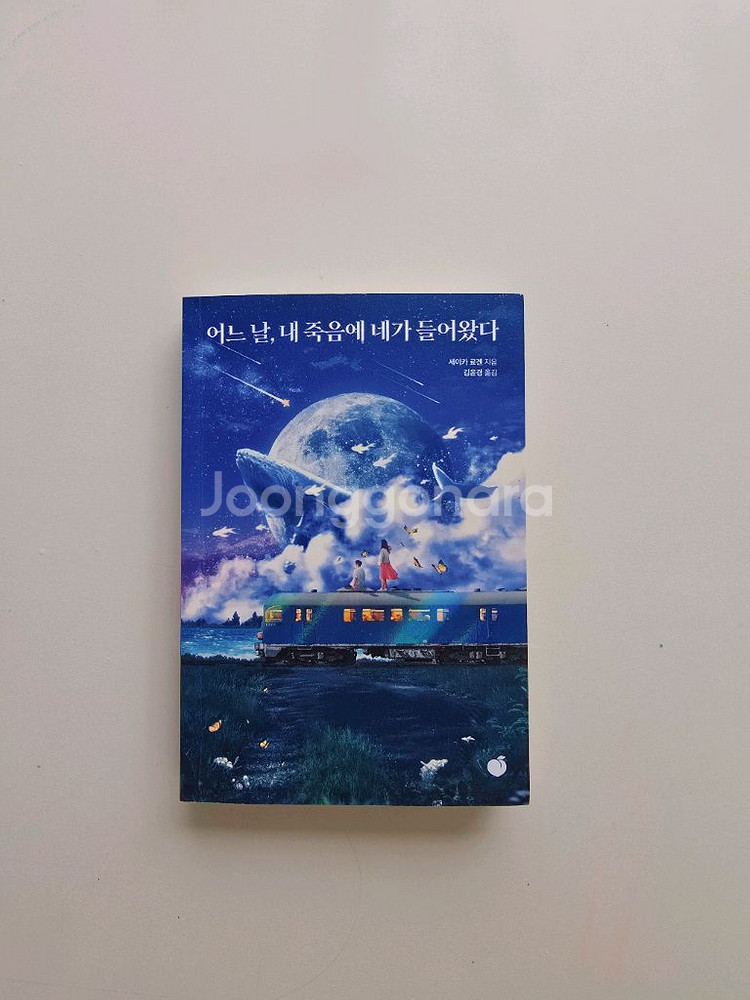 어느날 내 죽음에 네가 들어왔다 _ 세이카 료겐 장편--0