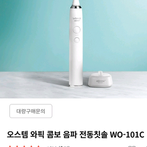 전동 칫솔 오스템 와픽 음파칫솔 WO-101C 새제품