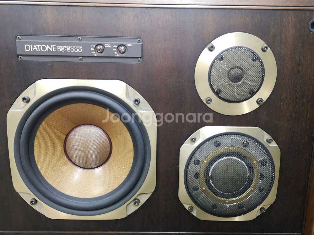 다이아톤 Diatone DS-5000 스피커 페어--4