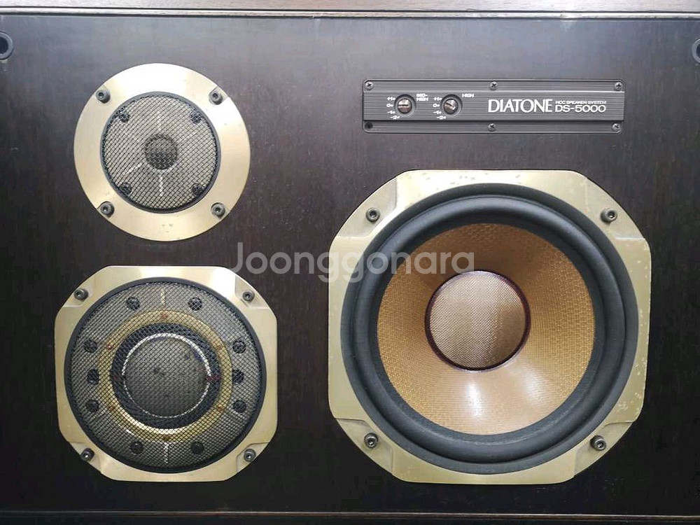 다이아톤 Diatone DS-5000 스피커 페어--6