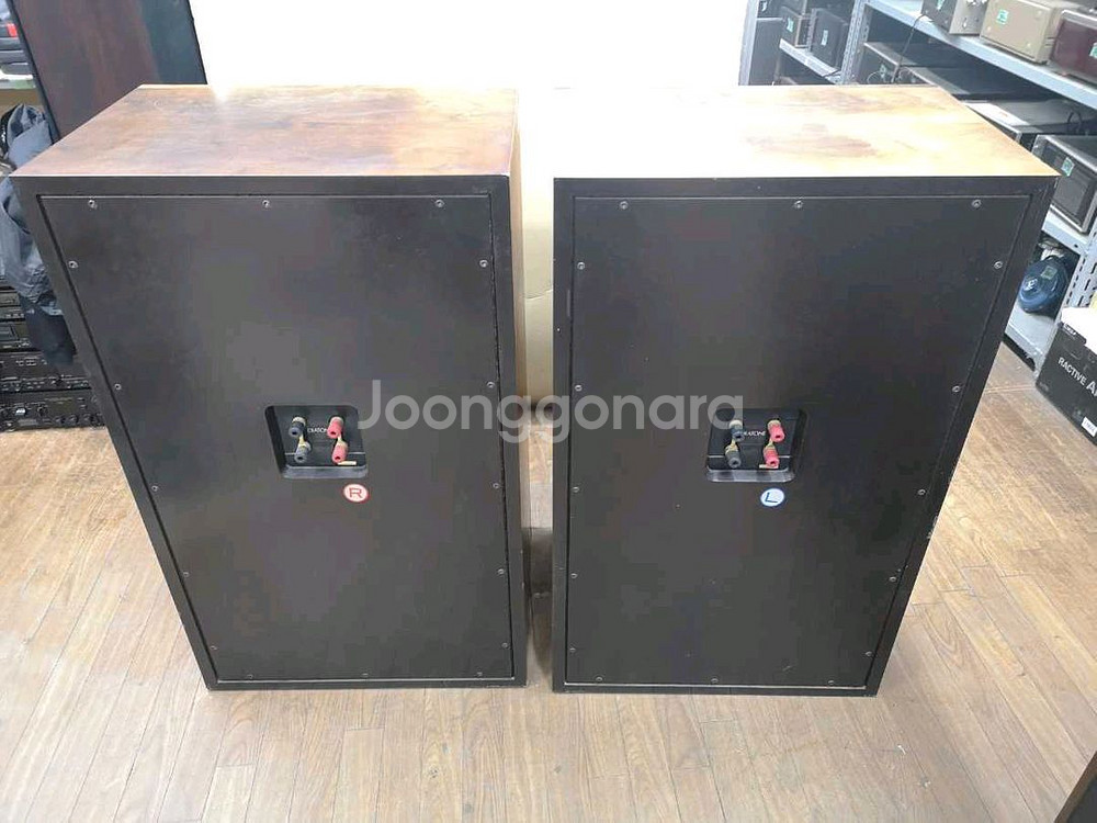 다이아톤 Diatone DS-5000 스피커 페어--9
