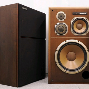 다이아톤 Diatone DS-5000 스피커 페어