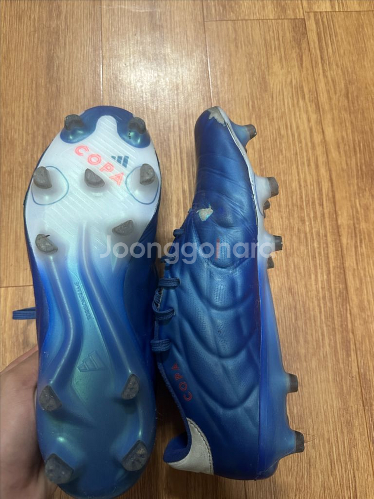 아디다스 코파 퓨어 fg 280 축구화--1