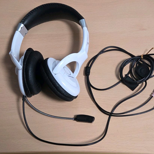 삼성전자 헤드셋 SHS-100V/W