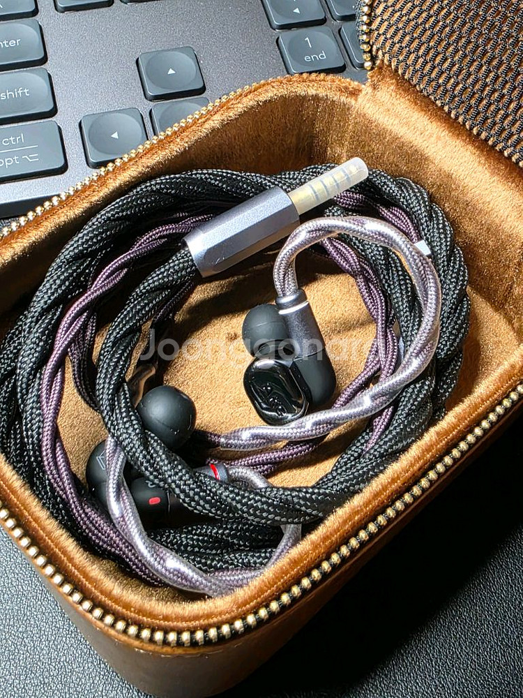 AKG N5005 + NICEHCK 용비늘2 4.4--0