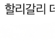 할리갈리 데니멀즈 ver