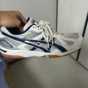 로테리브레 fl5 260