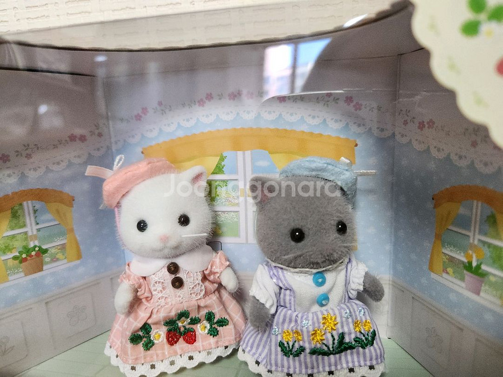 실바니안 자수 페르시안 고양이--3