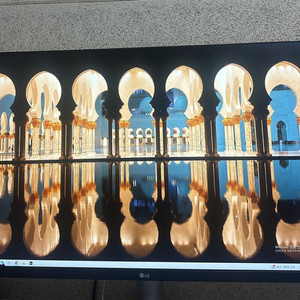 LG 4K 32UN650