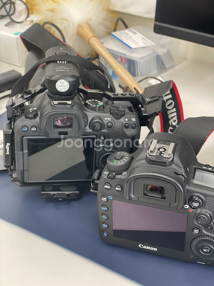 캐논 EOS 5D Mark IV 오막포--8
