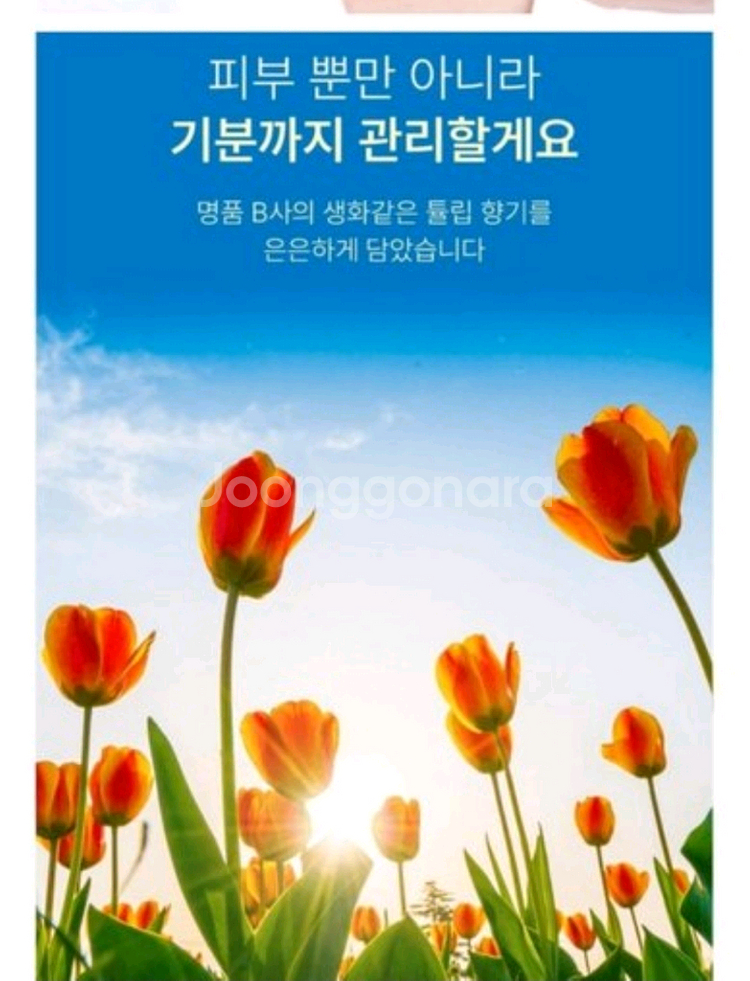(무료배송) 콜라겐크림--7