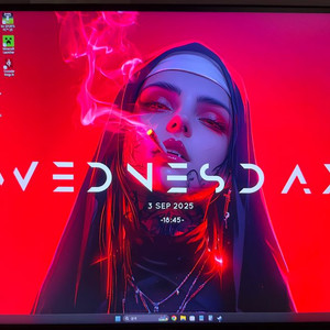 델 g2724d qhd 165hz ips 모니터 풀박스