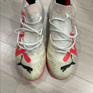 푸마 퓨처 얼티메이트 케이지 255