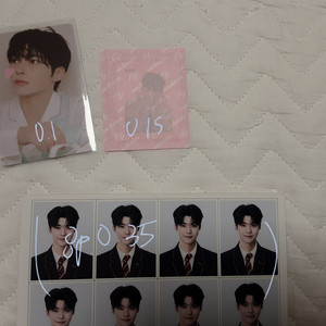 제로베이스원 제베원 포카,띠부씰,증사 판매