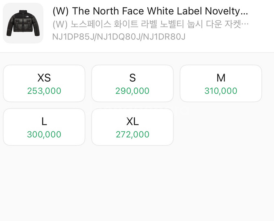 노스페이스 화이트라벨 눕시다운 자켓 블랙(M)--3