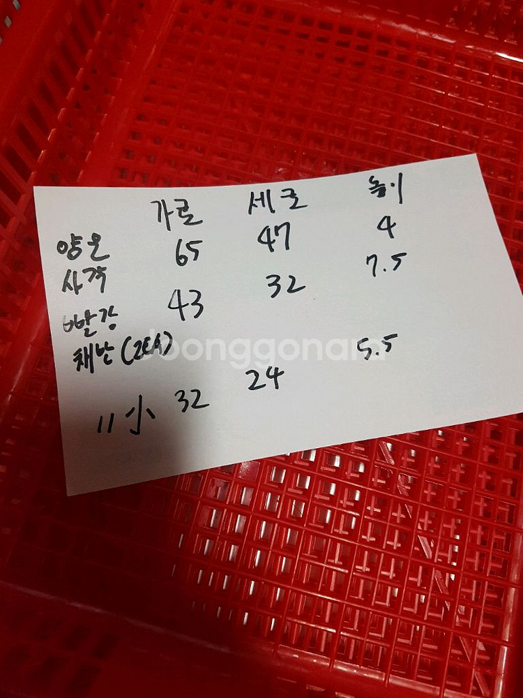 양은사각쟁반 플라스틱채반--5