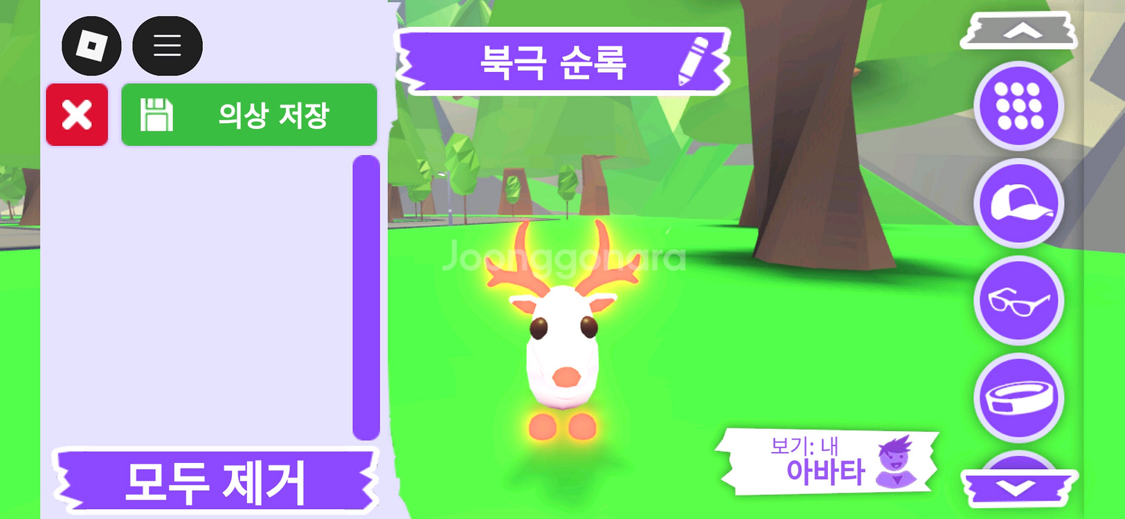 입양하세요 펫 메가네온 북극 순록(메흰순록)판매합니다--0