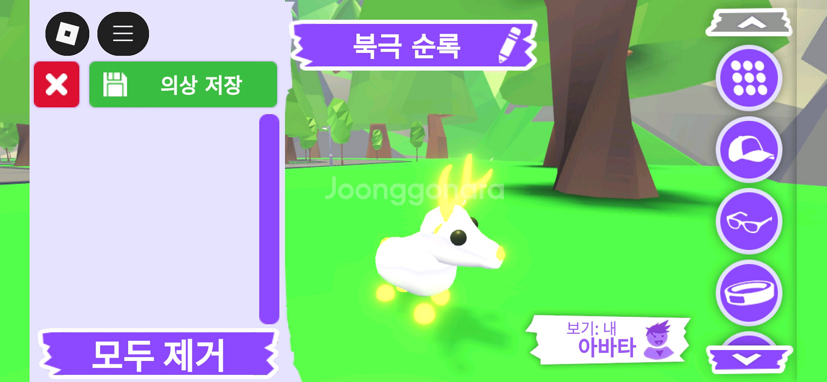 입양하세요 펫 메가네온 북극 순록(메흰순록)판매합니다--1