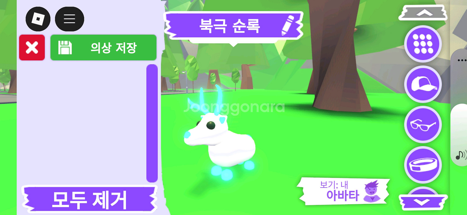 입양하세요 펫 메가네온 북극 순록(메흰순록)판매합니다--2