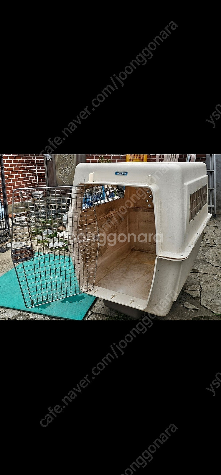 [가격 재 인하]초 대형견 켄넬(펫메이트/제일 큰 사이--4