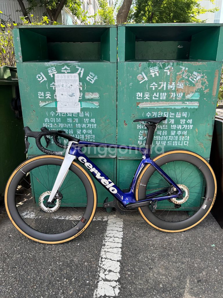 써벨로 S5 2024 사파이어아이스 울테DI2 판매--7