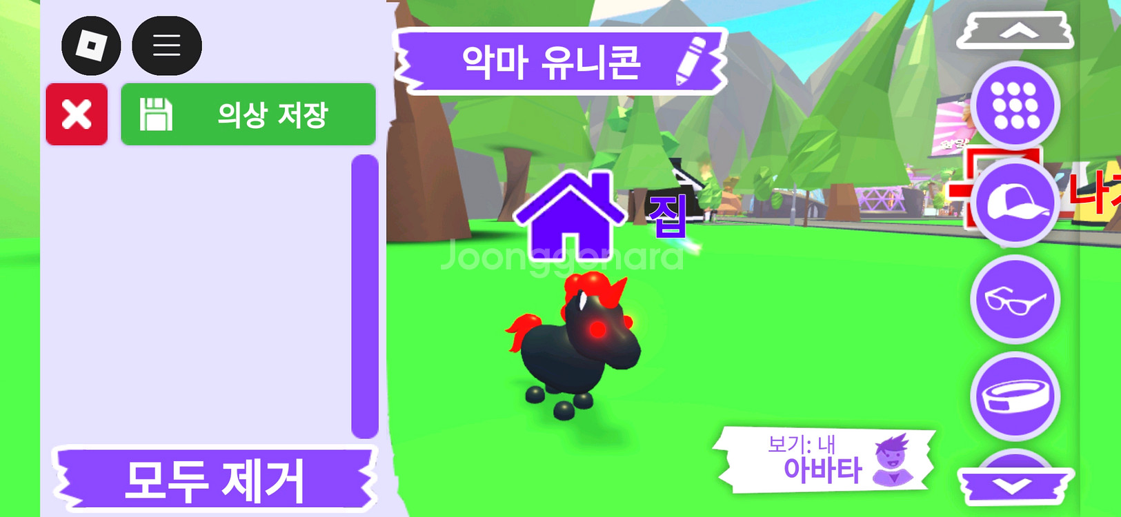 입양하세요 펫 악마 유니콘(악콘) 판매합니다--1