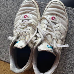 데스퍼르치 캄피나스 tf3 270