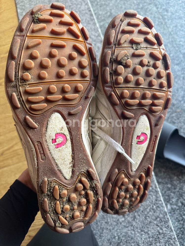 데스퍼르치 캄피나스 tf3 270--1