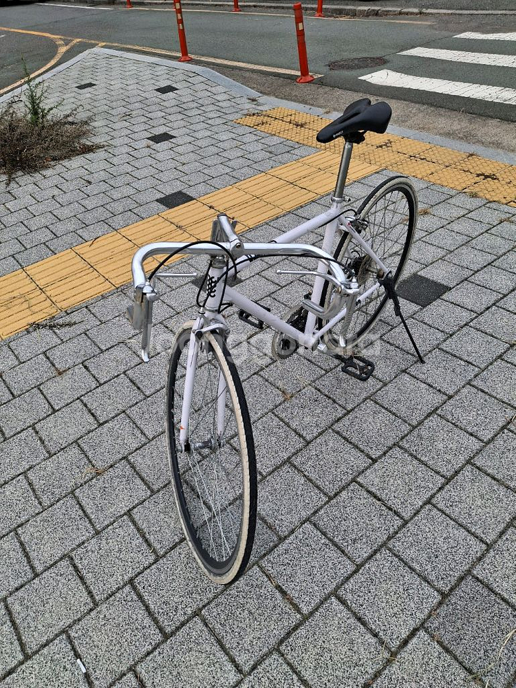 삼천리 로드 자전거--1