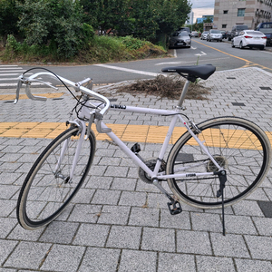 삼천리 로드 자전거