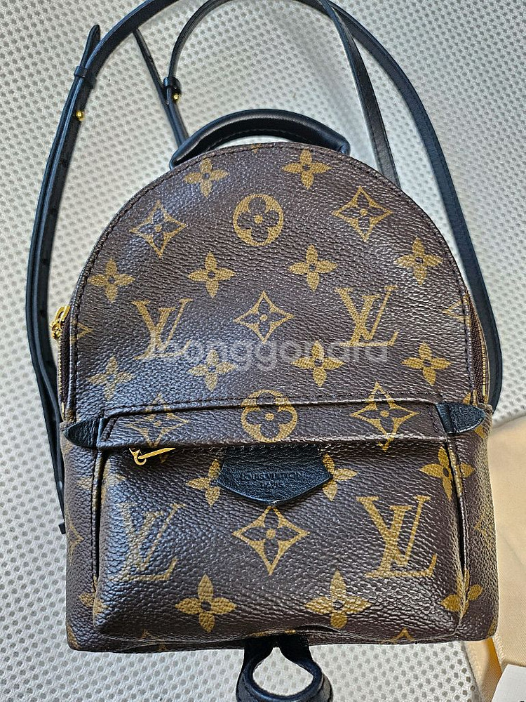 루이비통 팜미니--0