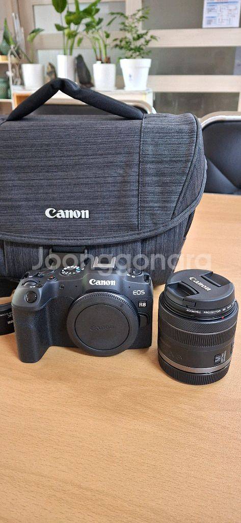 canon R8 rf24~50mm kit--2