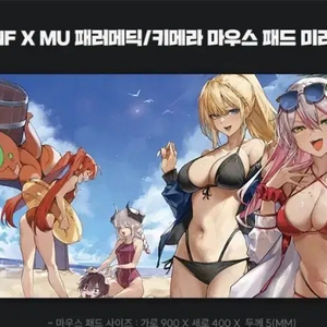 2025 던파 여름 이벤트 장패드 팝니다.