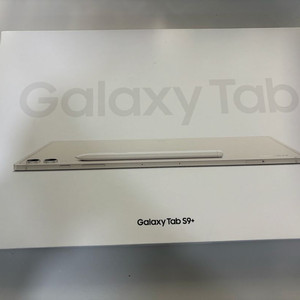 갤럭시탭S9+ wifi 256GB 베이지 S급 제품