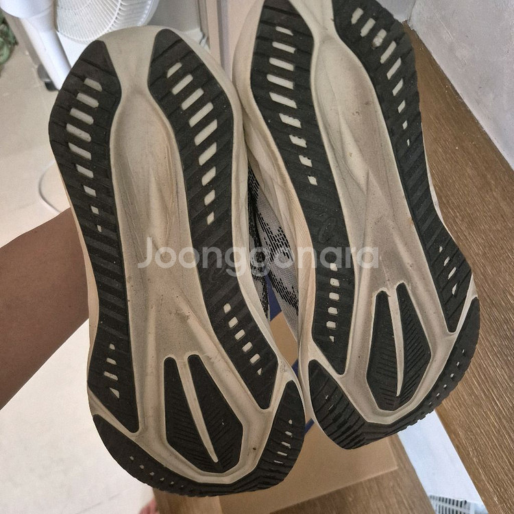 아식스 노바블라스트5 오트밀 275--3