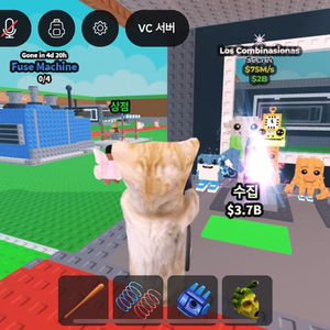 로스 콤비 75m 이미지