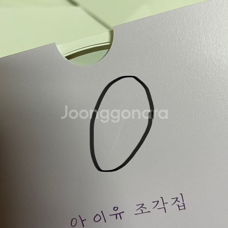 아이유 다큐멘터리 조각집--4