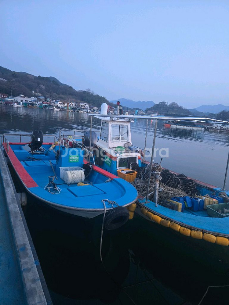 국내산 미더덕 오만둥이(생물 냉동)판매--1