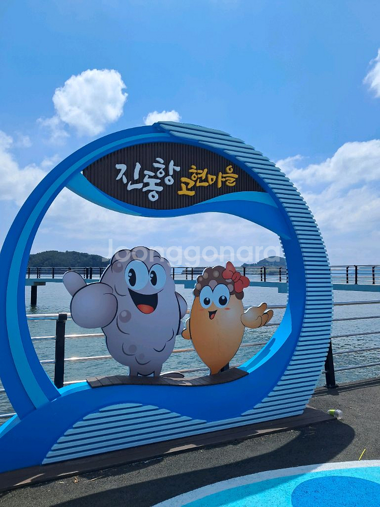 국내산 미더덕 오만둥이(생물 냉동)판매--0