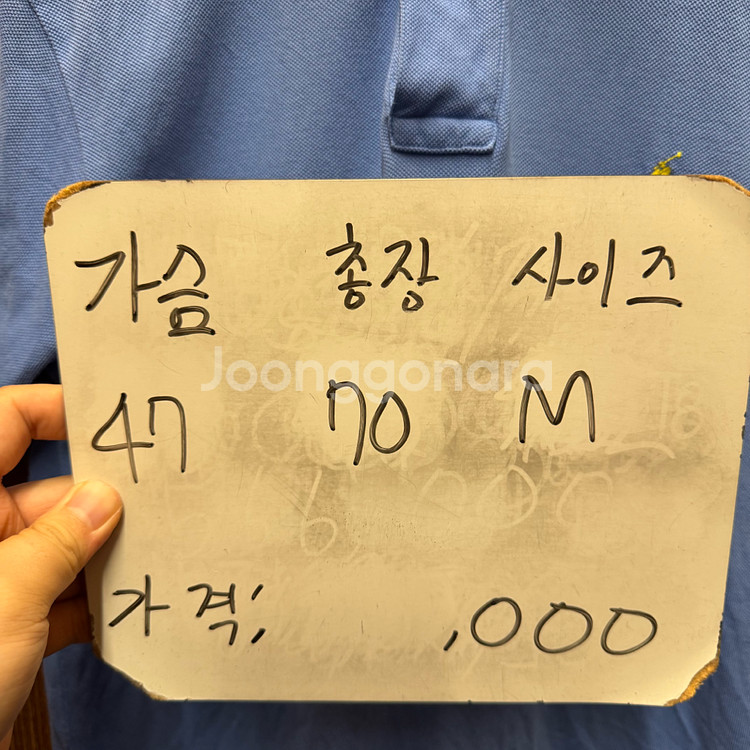 폴로 최신라벨 반팔 카라티 M--1
