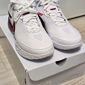 나이키 르브론 넥스트젠ampd 270 us9
