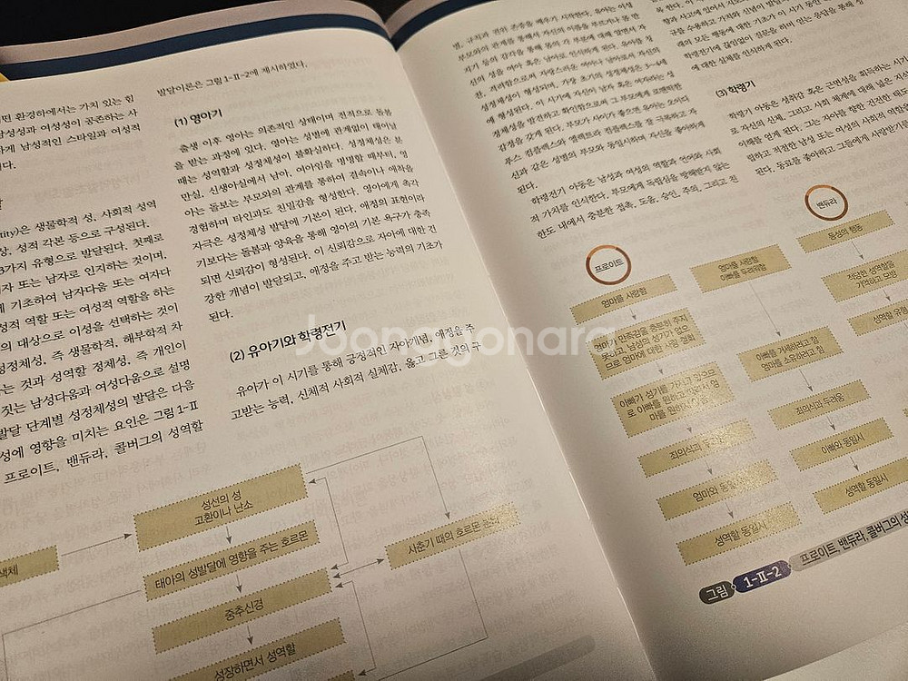수문사 여성건강간호학 1,2--1
