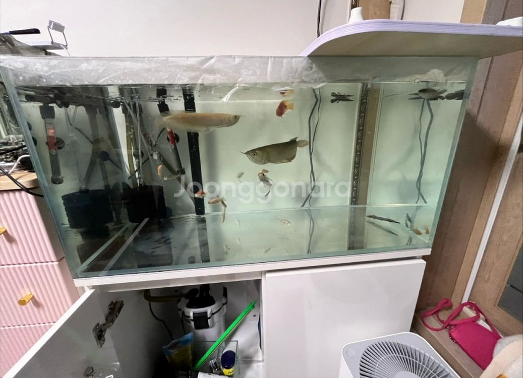 3짜 수조판매--0