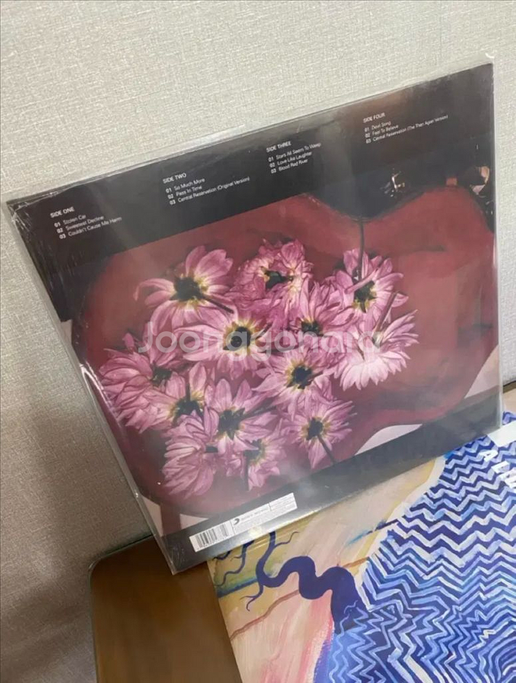 Beth orton - central lp (RSD)--1