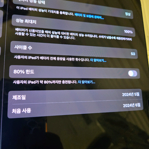 아이패드 m4 13 256셀룰러 매직키보드 애플팬슬프로