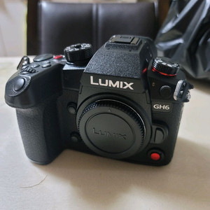 파나소닉 루믹스 GH6
