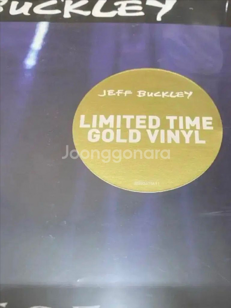 Jeff Buckley - Grace lp 2장--3