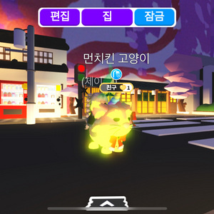 입양하세요 먼치킨고양이 팝니다